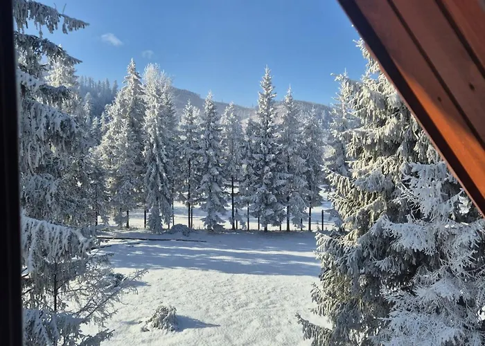 Wilcze Echo * Kościelisko